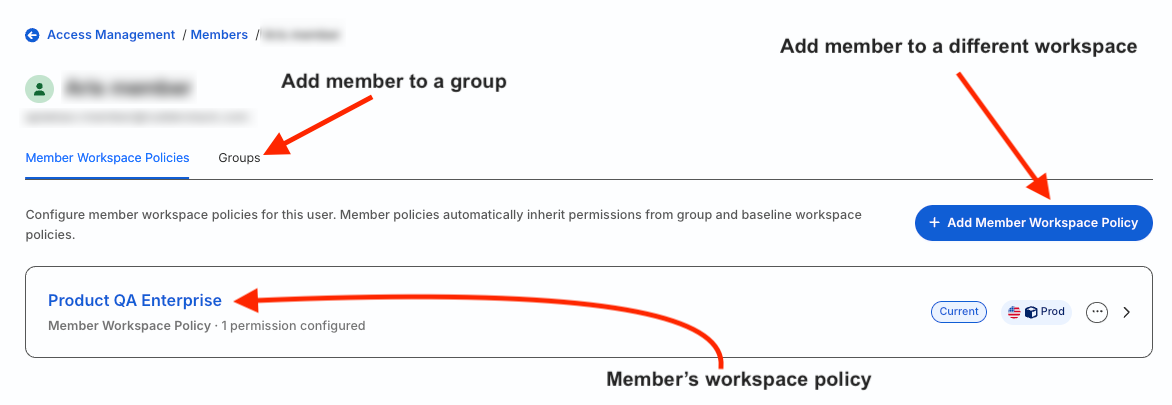 View member details