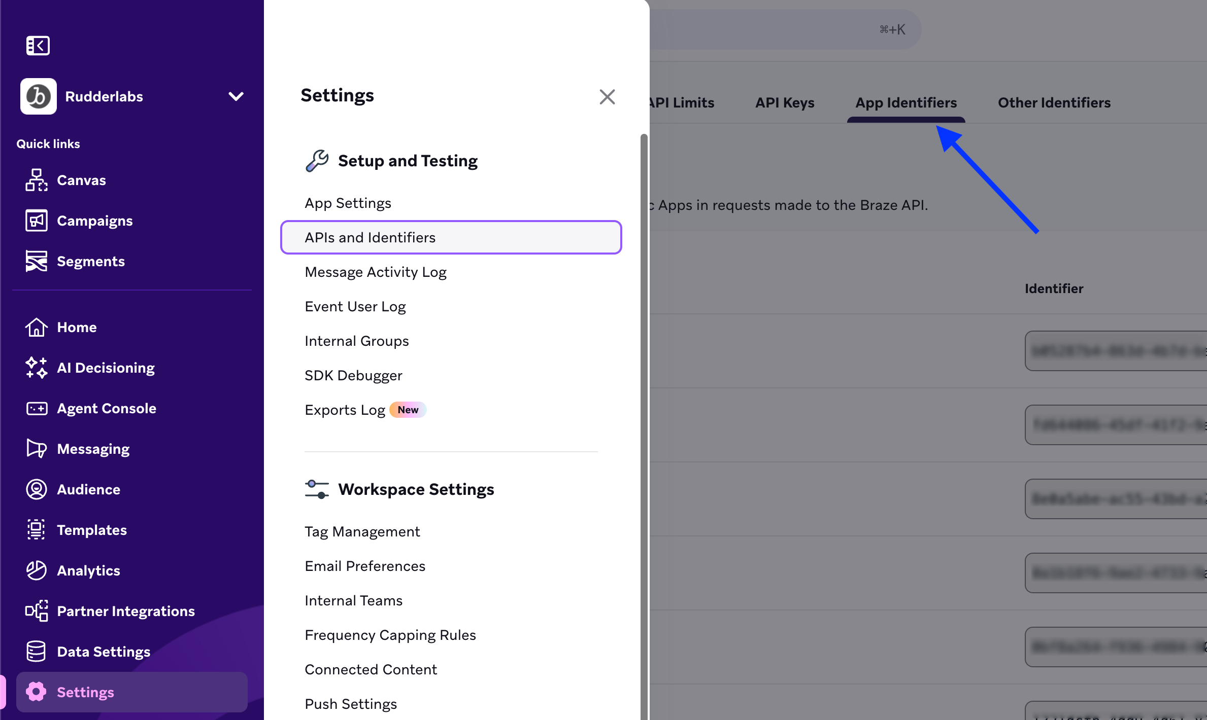 Braze Default API Key
