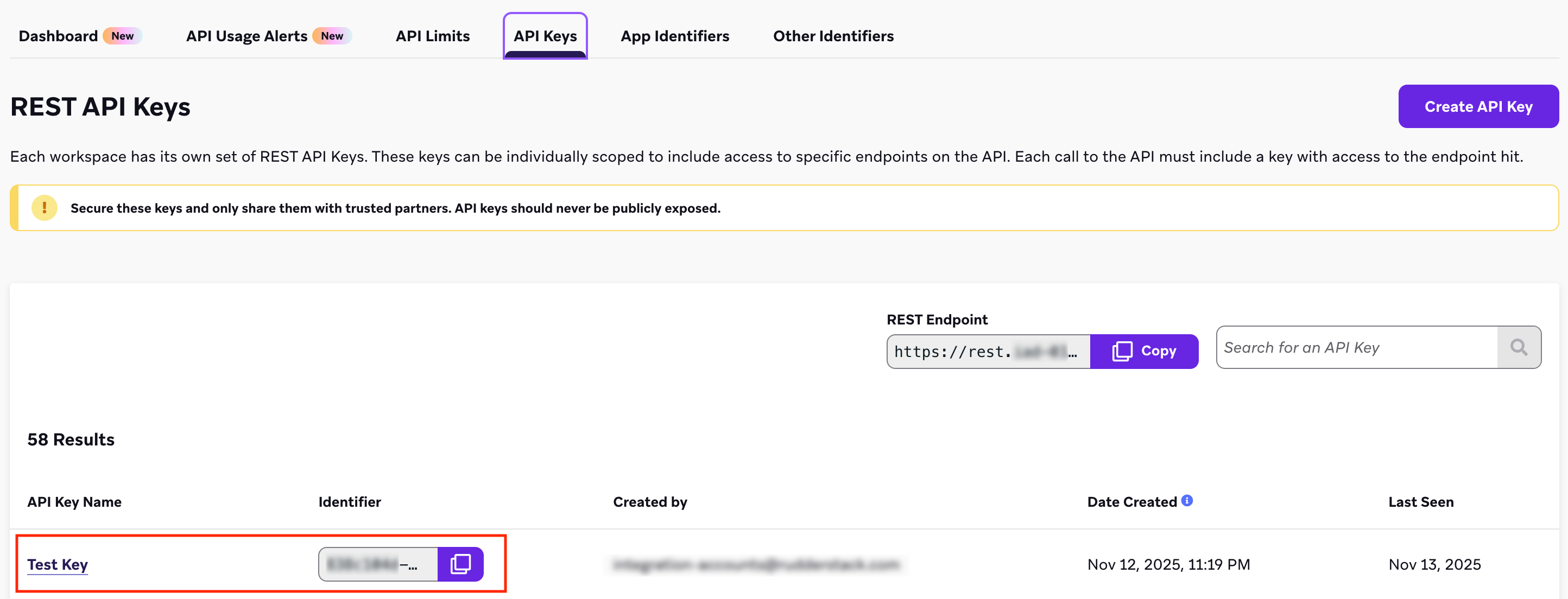 Braze REST API Key