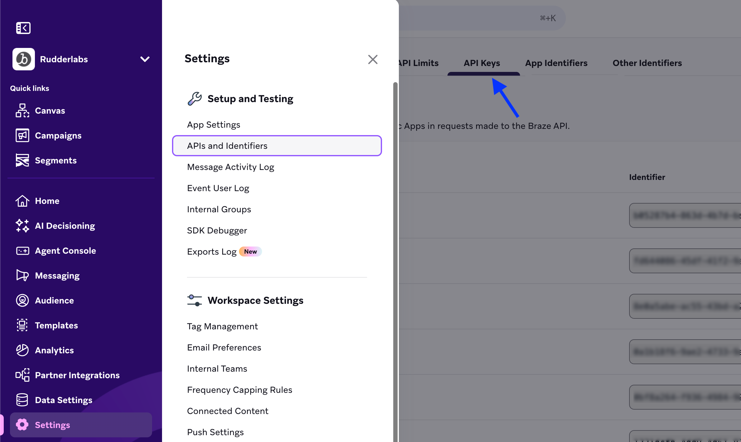 Braze REST API Key