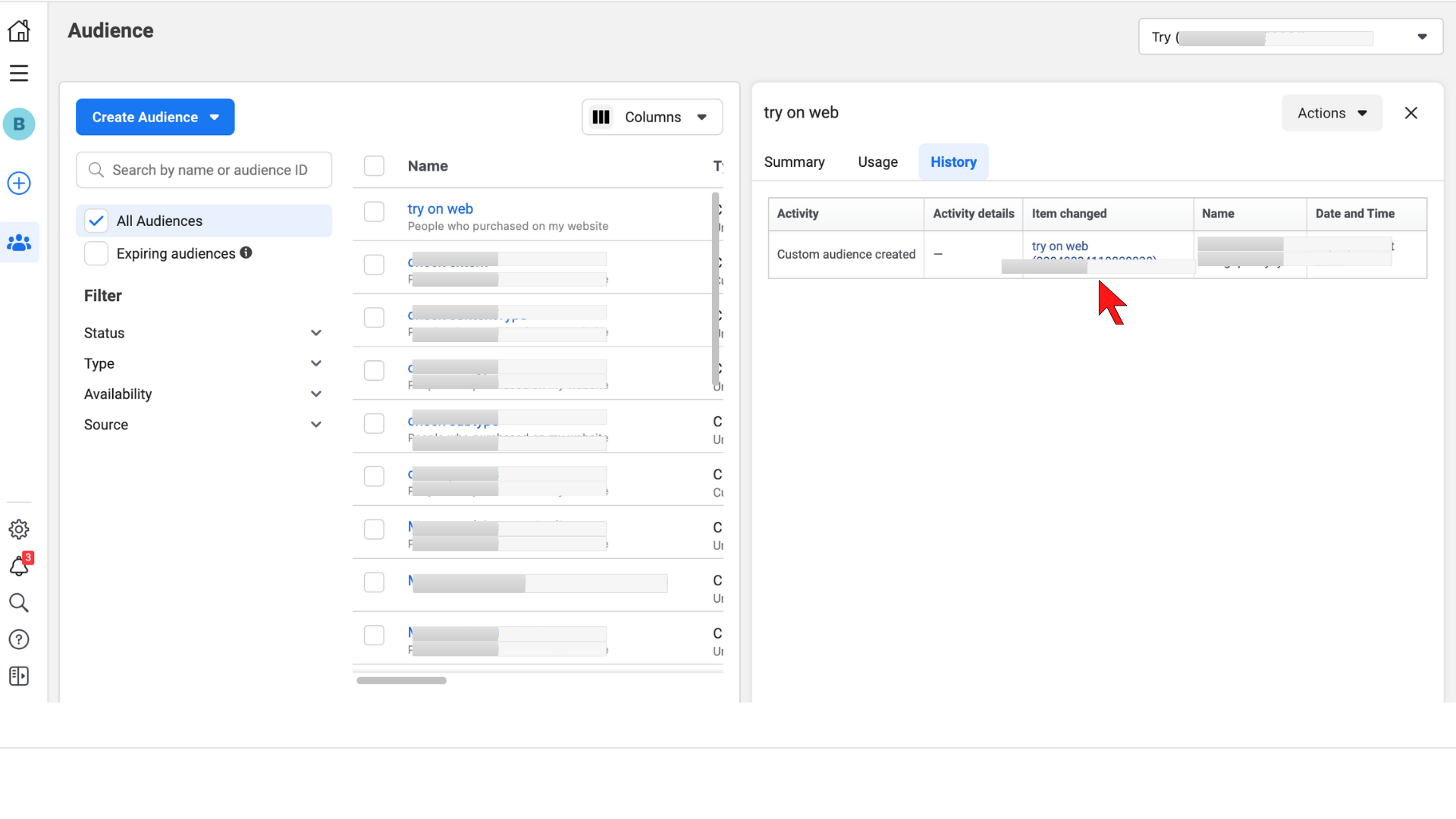 Customer audience ID